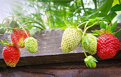 《永劫无间》1月20日更新公告：新英雄新皮肤等